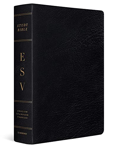 Study Bible-ESV-Large Print: English Standard Version, Black, Genuine Leather