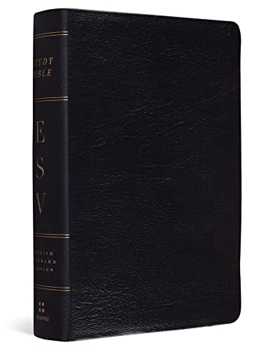Study Bible-ESV-Personal Size: English Standard Version Personal Size Genuine Leather Black von Crossway Books