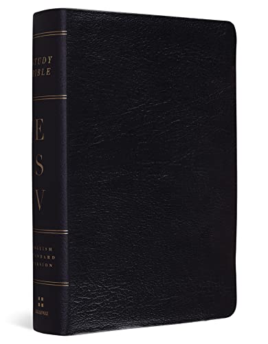 Study Bible-ESV-Personal Size: English Standard Version Personal Size Genuine Leather Black