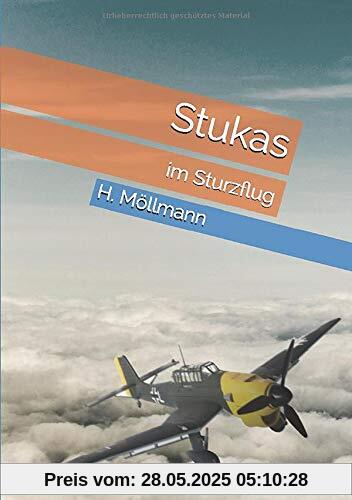 Stukas im Sturzflug: Ein Roman über deutsche Flieger im Frankreichfeldzug 1940