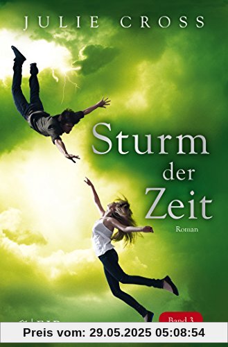 Sturm der Zeit: Roman