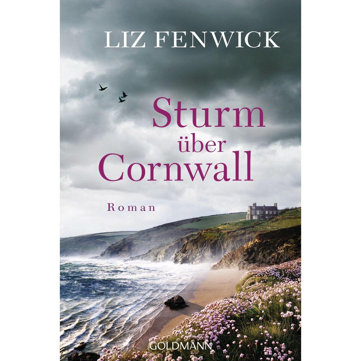 Sturm über Cornwall von Goldmann TB