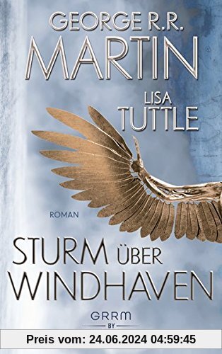 Sturm über Windhaven: Roman