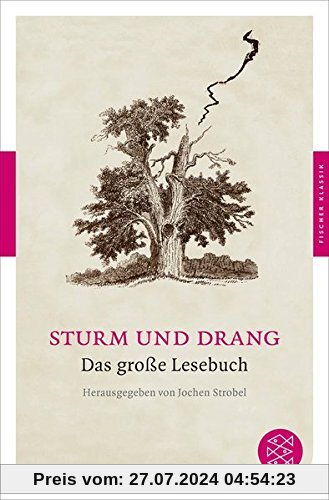 Sturm und Drang: Das große Lesebuch (Fischer Klassik)