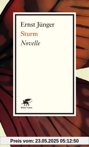 Sturm: Novelle