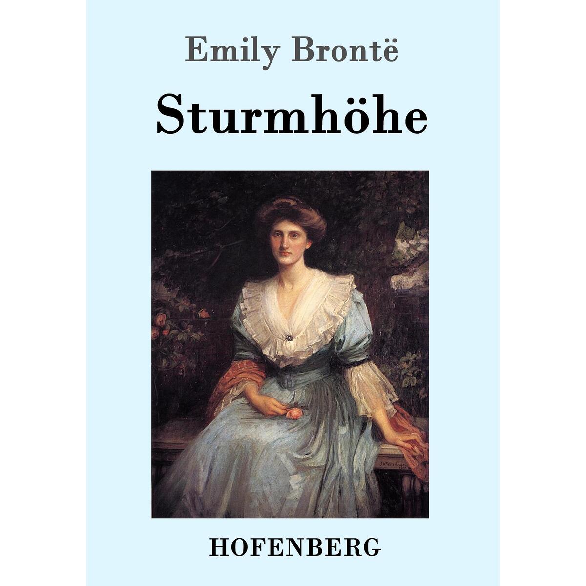 Sturmhöhe von Hofenberg