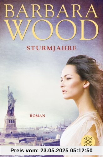 Sturmjahre: Roman