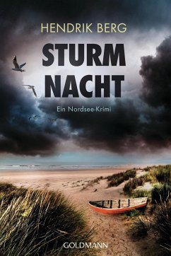 Sturmnacht / Theo Krumme Bd.10 von Goldmann