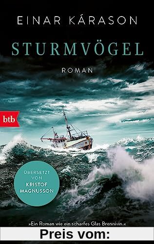 Sturmvögel: Roman