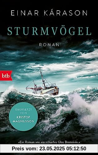 Sturmvögel: Roman