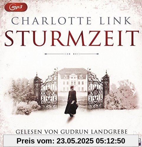 Sturmzeit (Die Sturmzeittrilogie, Band 1)