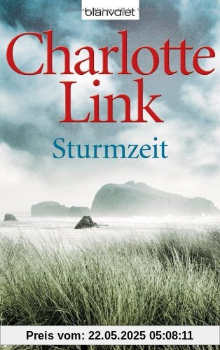 Sturmzeit: Roman Sturmzeit: Roman