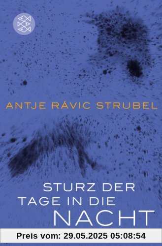 Sturz der Tage in die Nacht: Roman