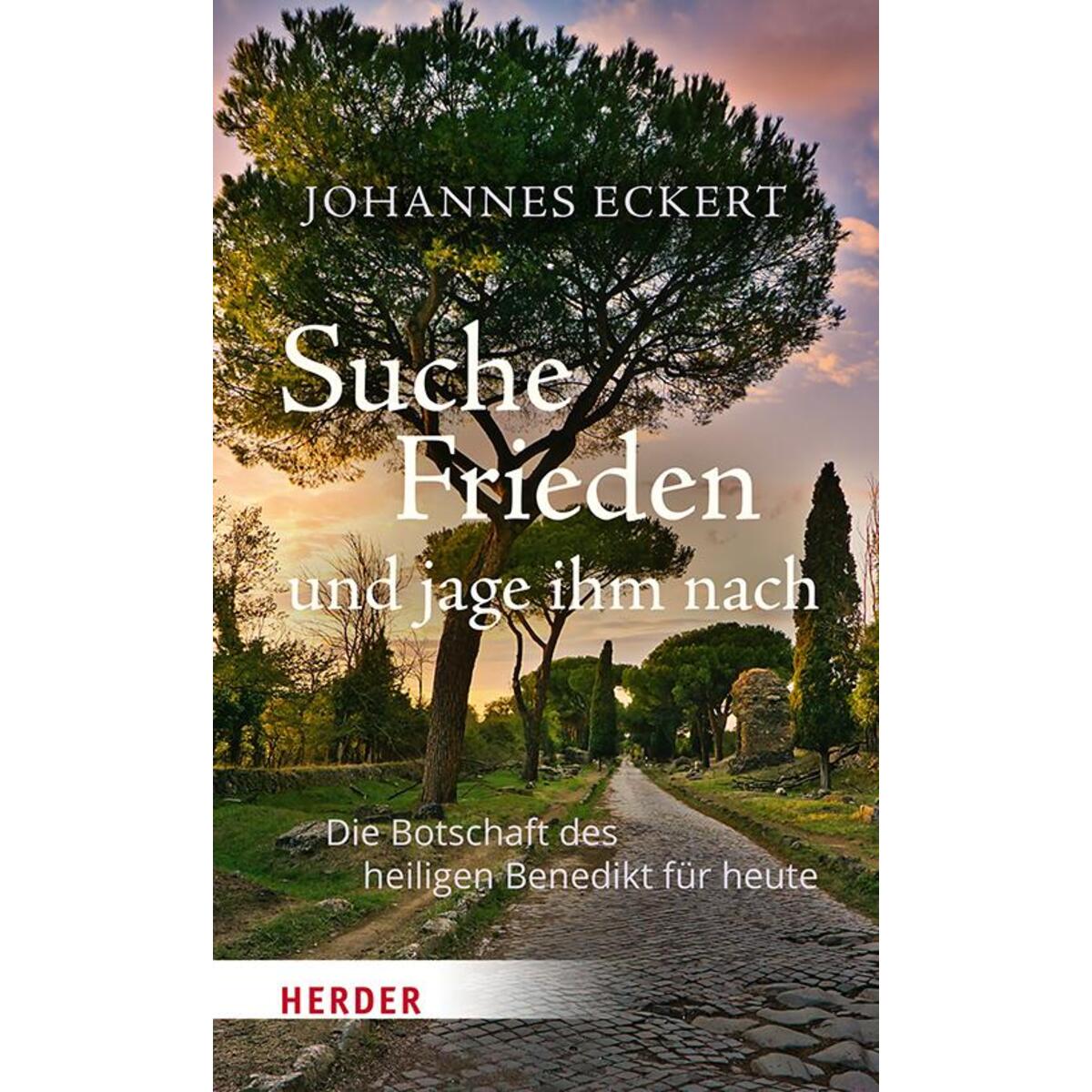 Suche Frieden und jage ihm nach von Herder Verlag GmbH