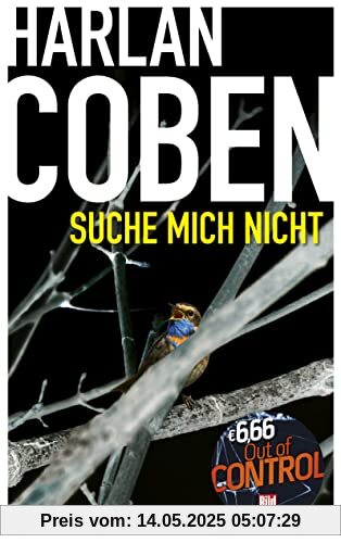 Suche mich nicht (BILD am Sonntag Mega-Thriller 2022: Out of Control)