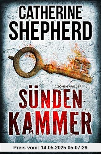 Sündenkammer: Thriller