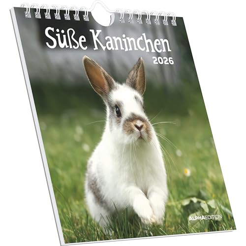 Süße Kaninchen 2026 - Postkartenkalender 16x17 cm von ALPHA EDITION