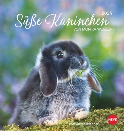 Süße Kaninchen Postkartenkalender 2025: Tierfotografin Monika Wegler setzt in einem kleinen Kalender niedliche Häschen in Szene. Tischkalender im Postkartenformat. (Postkartenkalender Heye) von Heye