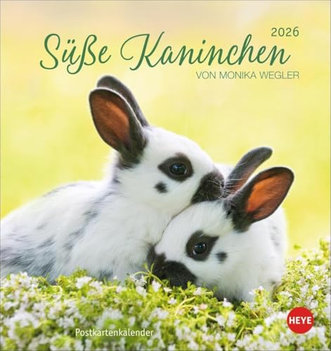 Süße Kaninchen Postkartenkalender 2026: Tierfotografin Monika Wegler setzt in einem kleinen Kalender niedliche Häschen in Szene. Tischkalender im Postkartenformat. (Postkartenkalender Heye) von Heye