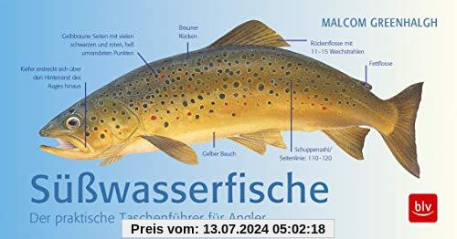 Süßwasserfische: Der praktische Taschenführer für Angler (BLV)