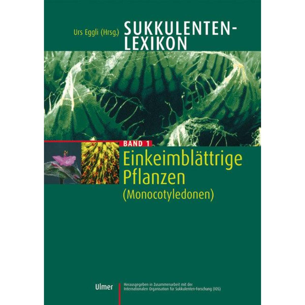 Sukkulentenlexikon 1 von Ulmer Eugen Verlag