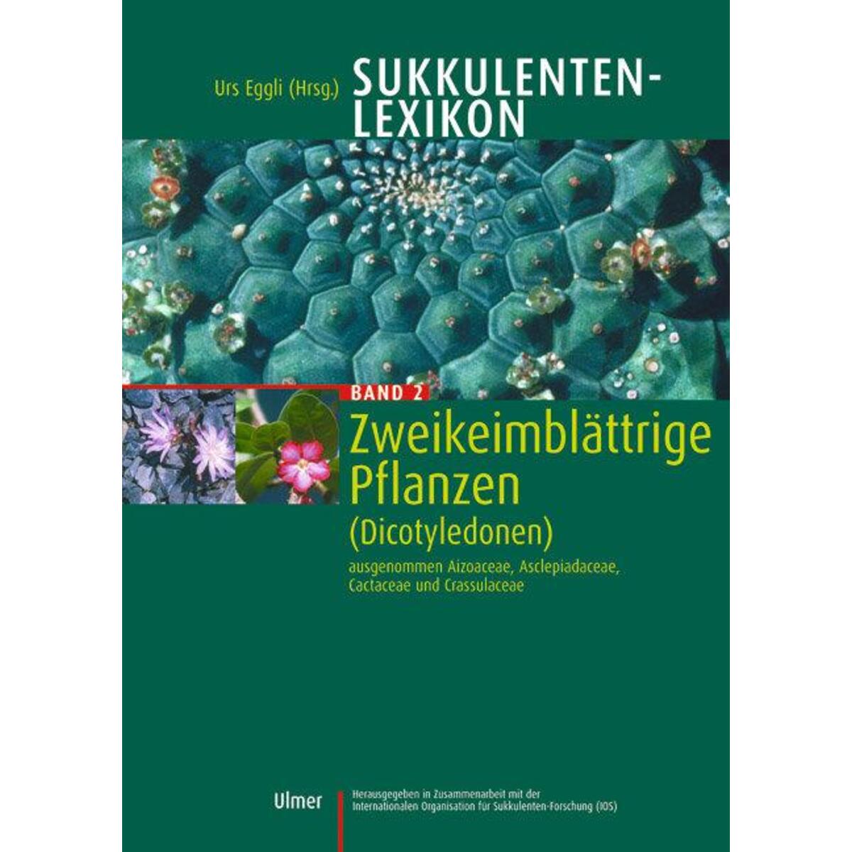 Sukkulentenlexikon 2 Sukkulentenlexikon 2 von Ulmer Eugen Verlag
