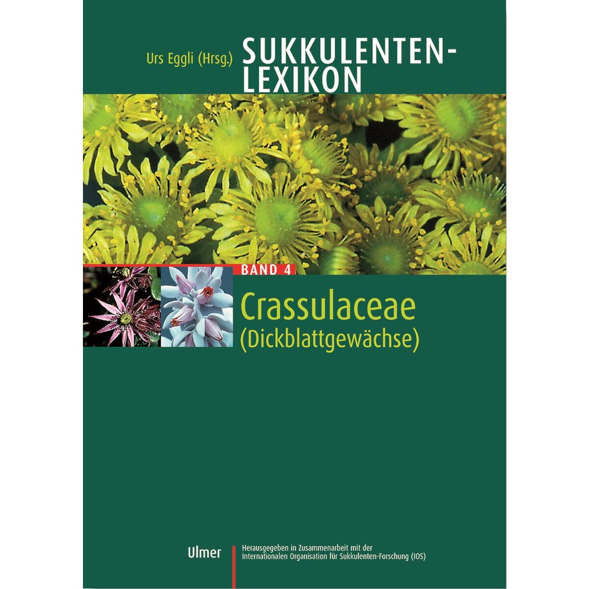 Sukkulentenlexikon 4 Sukkulentenlexikon 4 von Ulmer Eugen Verlag
