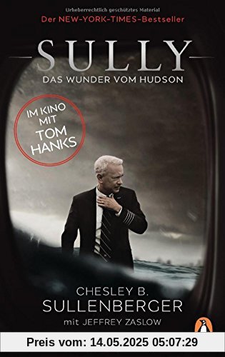 Sully: Das Wunder vom Hudson