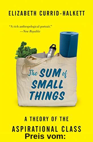 Sum of Small Things: A Theory of the Aspirational Class