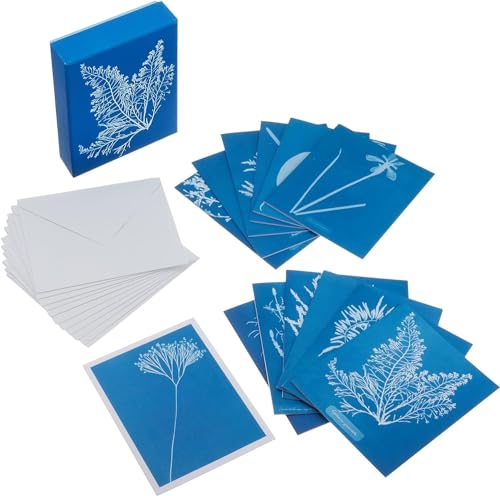 Sunprint Notecards: The Cyanotypes of Anna Atkins (12 notecards; 12 designs; matching envelopes; keepsake box): The Cyanotypes of Anna Atkins von Princeton Architectural Press