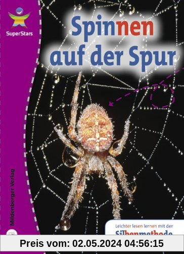 SuperStars - Sachtexte: Spinnen auf der Spur