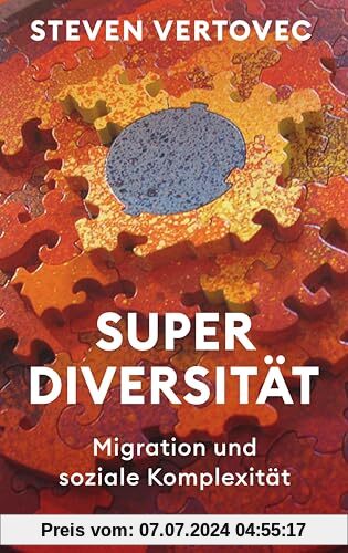 Superdiversität: Migration und soziale Komplexität | Das Grundlagenwerk eines weltweit führenden Migrations- und Diversitätsforschers