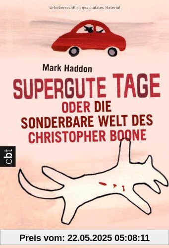 Supergute Tage oder Die sonderbare Welt des Christopher Boone