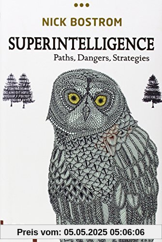 Superintelligence: Paths, Dangers, Strategies