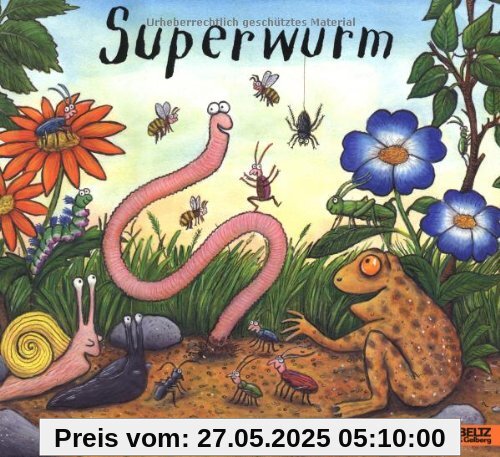 Superwurm: Vierfarbiges Bilderbuch