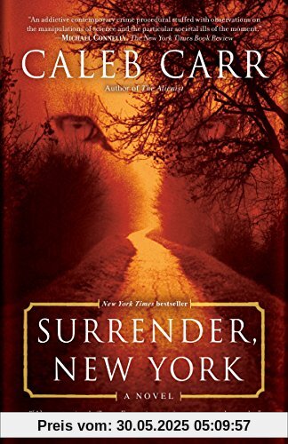 Surrender, New York: A Novel