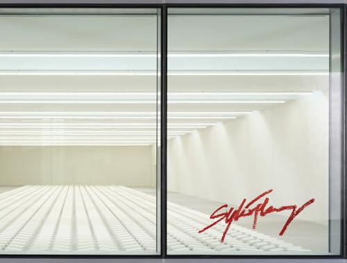Sylvie Fleury: Double Positive Sylvie Fleury: Double Positive von JRP | Ringier