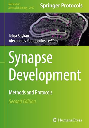Synapse Development: Methods and Protocols (Methods in Molecular Biology, 2910, Band 2910) von Humana