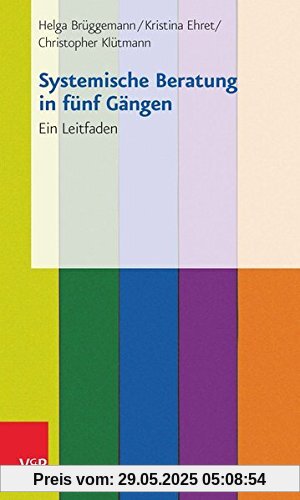 Systemische Beratung in fünf Gängen: 25 Praxiskarten