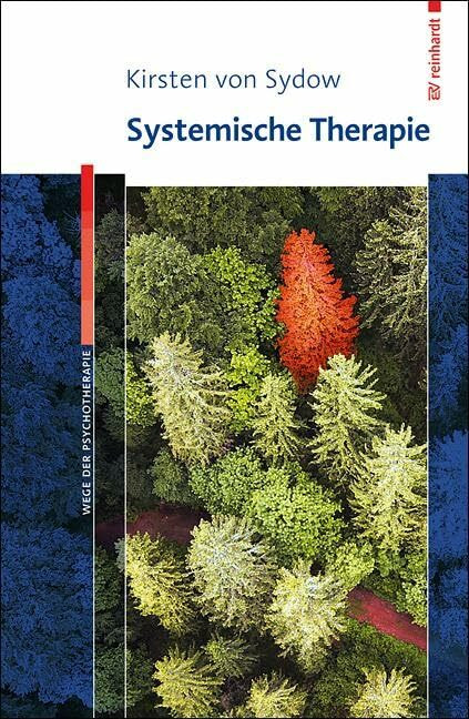Systemische Therapie (Wege der Psychotherapie)