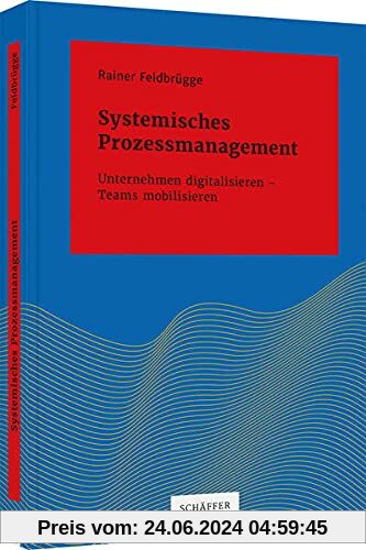 Systemisches Prozessmanagement: Unternehmen digitalisieren – Teams mobilisieren (Systemisches Management)