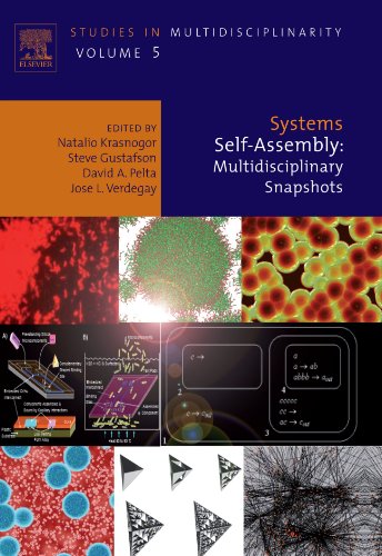 Systems Self-Assembly: Multidisciplinary Snapshots Systems Self-Assembly: Multidisciplinary Snapshots von Elsevier Science