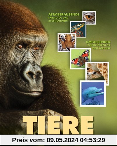 TIERE - Enzyklopädie für die ganze Familie: Entdecken Sie die verblüffenden Geheimnisse der Tierwelt