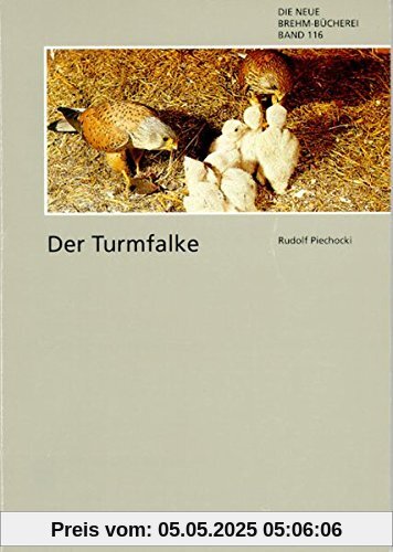 TURMFALKE