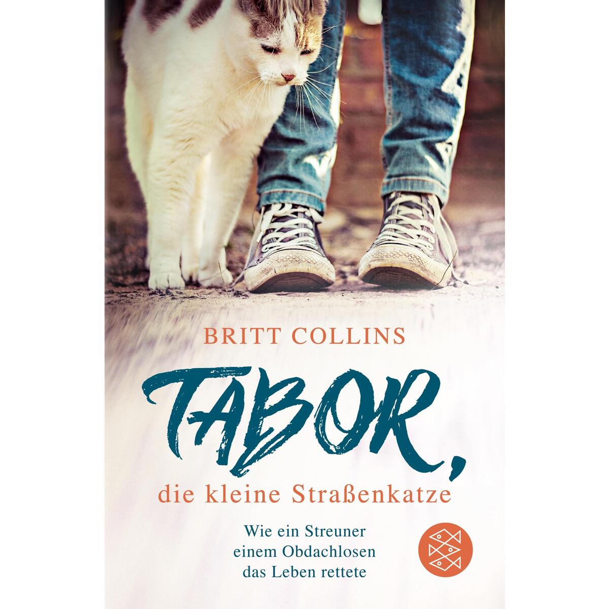 Tabor, die kleine Straßenkatze Tabor, die kleine Straßenkatze von Fischer