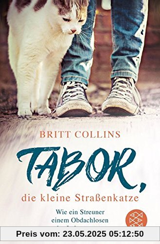 Tabor, die kleine Straßenkatze Tabor, die kleine Straßenkatze