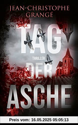 Tag der Asche: Thriller