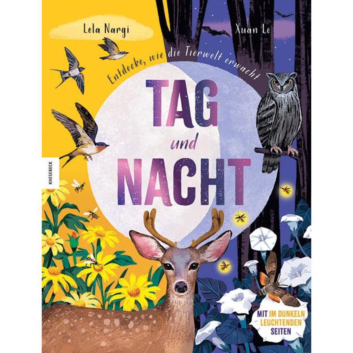 Tag und Nacht von Knesebeck Von Dem GmbH