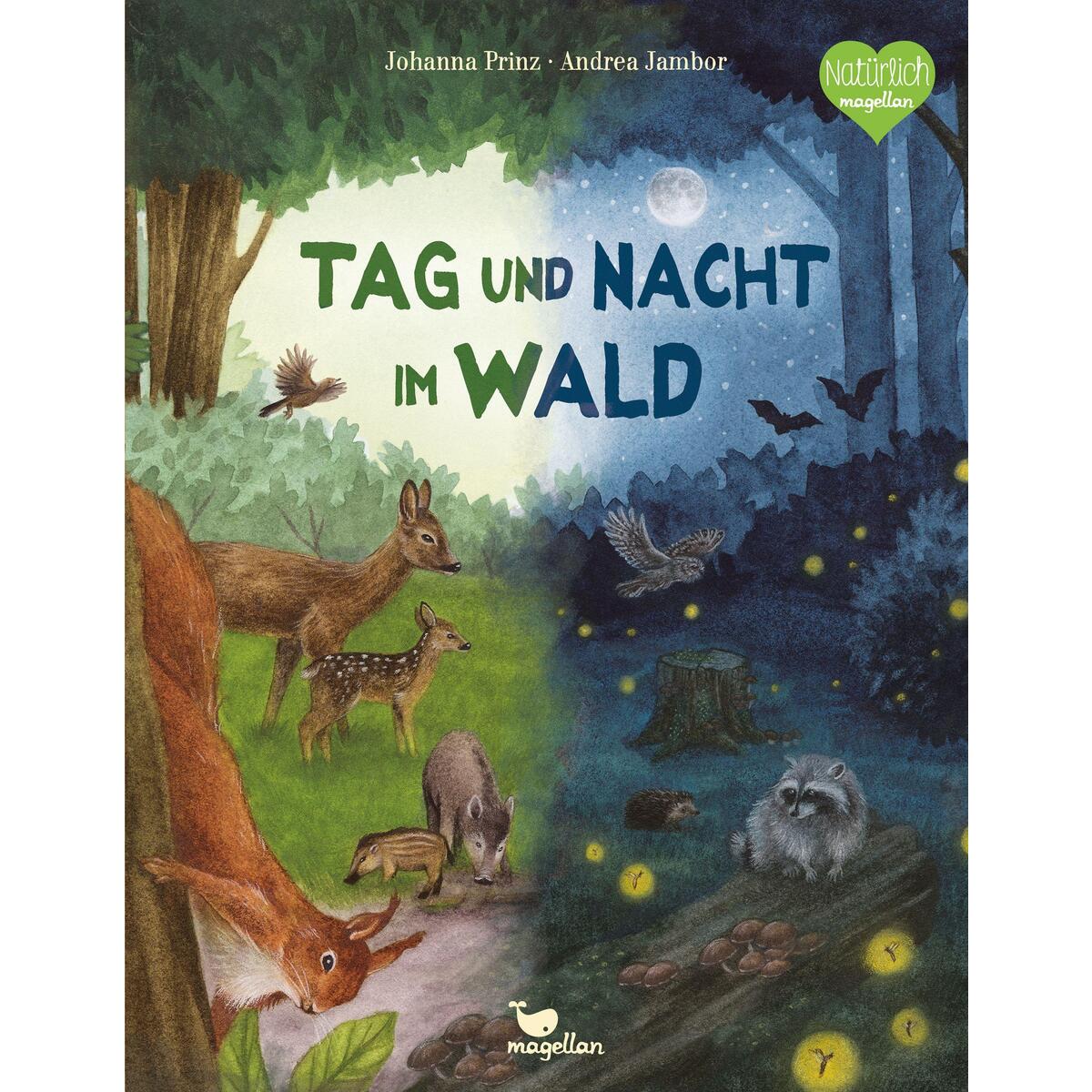 Tag und Nacht im Wald von Magellan GmbH