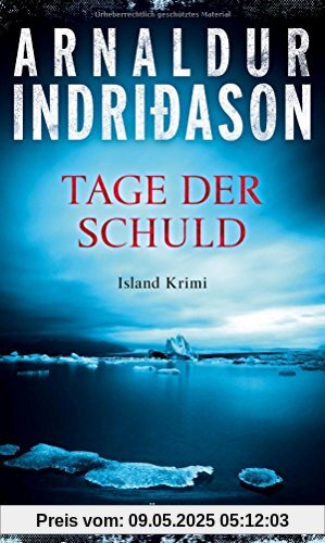Tage der Schuld: Island Krimi (Der junge Erlendur, Band 2)